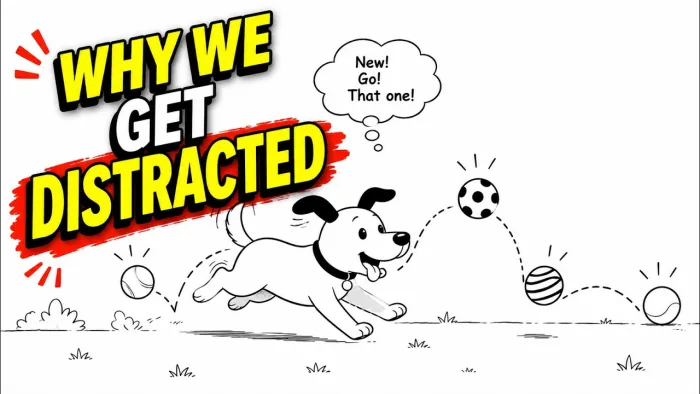 Learning to Focus ESL Worksheet (A2) | Reading, Vocabulary, Grammar & Speaking Activities cover